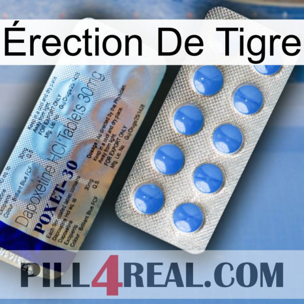 Érection De Tigre 39.jpg
